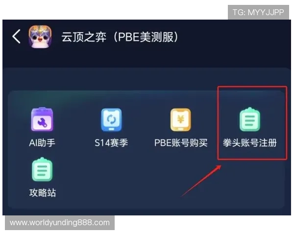 云顶攻略助手的基本操作方法和高级使用技巧介绍