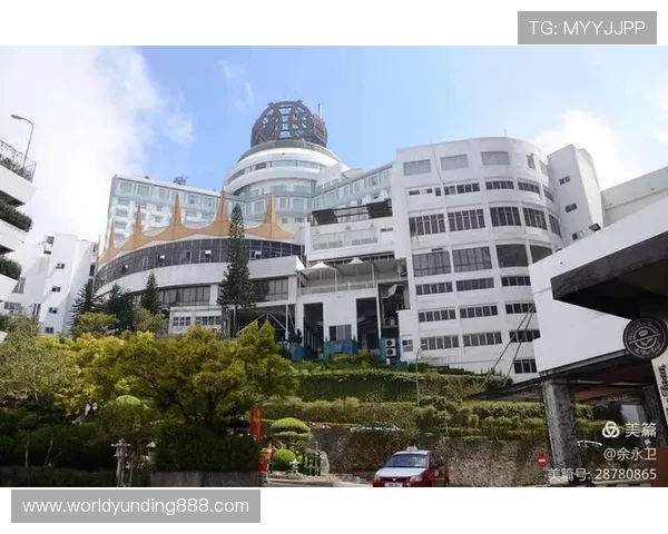 云顶公司马来西亚：详细分析其经营模式、市场策略及全球扩展计划