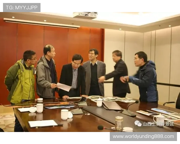 云顶集团董事长简历中的个人背景与企业战略布局关系分析