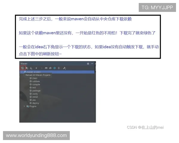 如何注册并登录445云顶国际网站，详细步骤指导让新手也能轻松上手