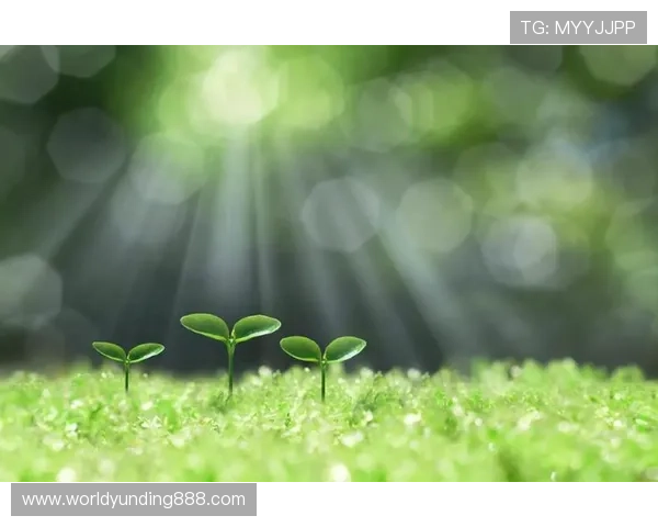 开元国际大厅中的热门活动与限时任务详解,助你抓住每一次获得稀有奖励的机会 开元国际大厅中的热门活动与限时任务详解,助你抓住每一次获得稀有奖励的机会