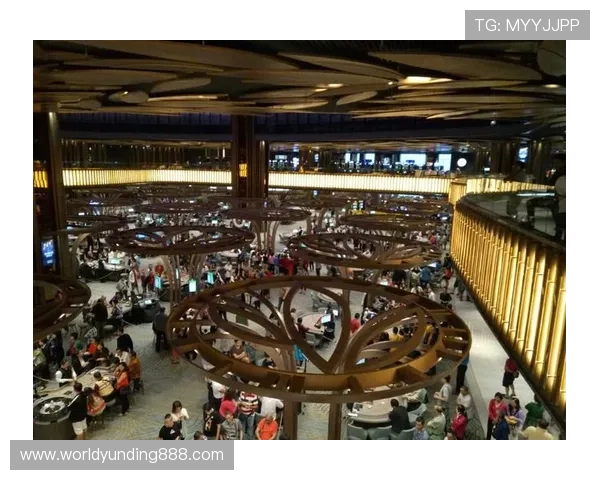 马来西亚云顶娱乐攻略详细分析不同游戏类型的玩法技巧与获胜策略