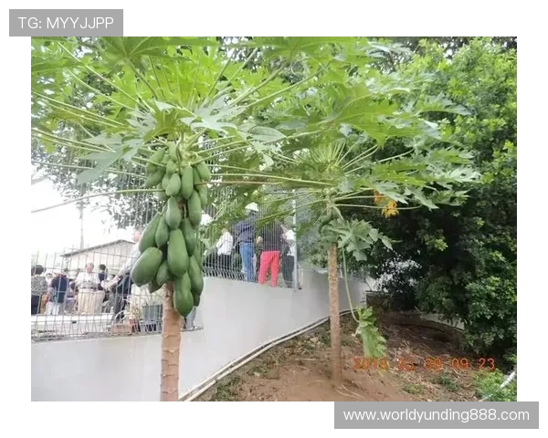 马来西亚云顶赌场简介：云顶娱乐城的生态环境与绿色可持续发展的措施